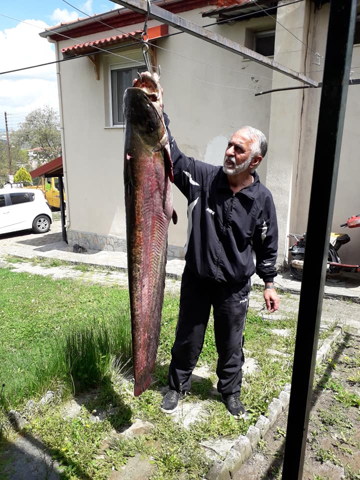  Τρικαλινός έπιασε ψάρι βάρους 26,5 κιλών